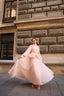 Lal Evening Gown in Powder Pink